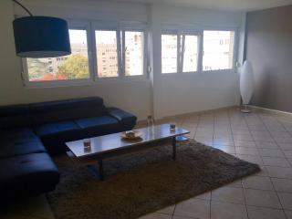 Chambre privée dans un appartement partagé - Villeurbanne - 1