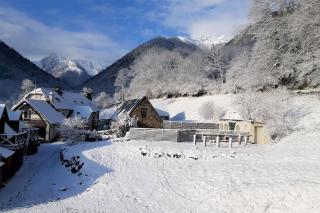 Residence des oiseaux - 2