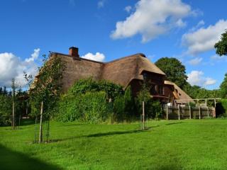 Holiday apartment Ebbe - Stedesand - 0