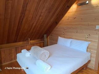 Mt Elephant Bush Retreat - Gray - - 8