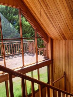 Mt Elephant Bush Retreat - Gray - - 4