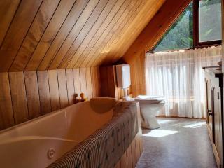 Mt Elephant Bush Retreat - Gray - - 1