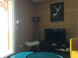 L'appart des familles sportives! - La Bresse - 1