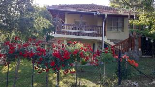 Dunavska Priča - Negotin - 9