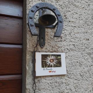 Le Prunache - Stazzema - 0