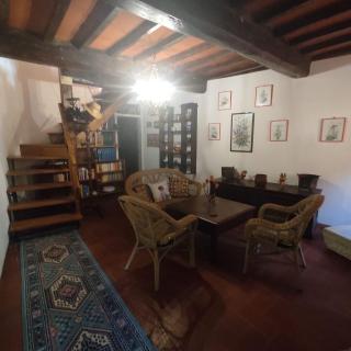 Le Prunache - Stazzema - 9
