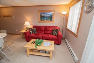 ML226 Great Views Next To Village EZ Gated Parking WiFi - Snowshoe - 8