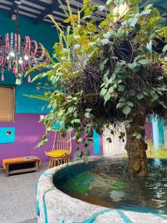 Hotel Elena - Salta - 1