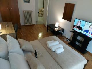Nice, friendly, secure, fully equipped apartment - Atene - 8