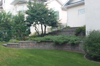 Luxury bungalow in NW Calgary - Calgary - 8