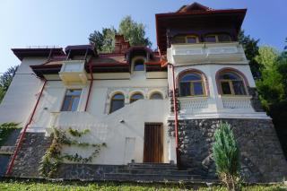 Vila Arizto - Sinaia - 8