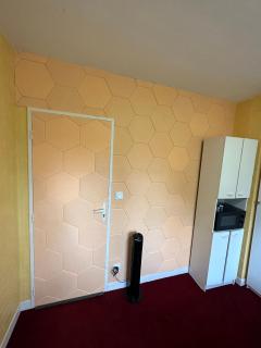 Le Tapis Rouge Chambre Privative au Stade Pierre Fabre - Castres - 4