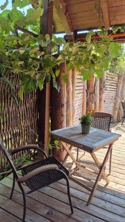 Ökologisches Hideaway mit Sauna und großem Garten - 8