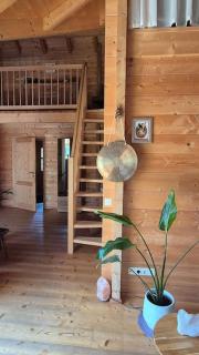 Ökologisches Hideaway mit Sauna und großem Garten - 7