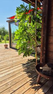 Ökologisches Hideaway mit Sauna und großem Garten - Seßlach - 2