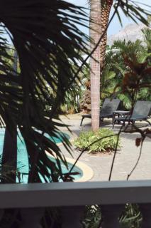 Palm Crest Curacao 150D - Willemstad - 9