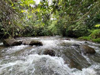Hospedaje refugio en el Bosque - 7
