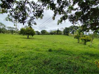 Hospedaje refugio en el Bosque - 5