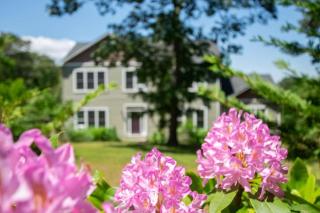 Close to Barley Neck Landing - 3