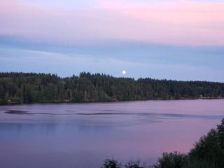 Waterfront Retreat with a sauna Pets OK - Arcadia - 0