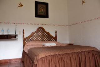 Posada Guayacán Tepoztlán - Tepoztlán - 9