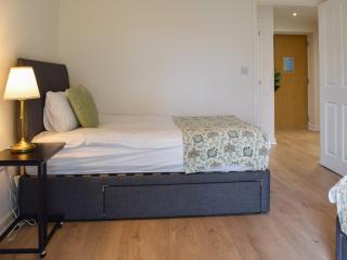 Frank Wright Apartment - Sheffield - 3