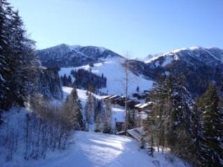 Appartement 2 pièces proche pistes avec balcon, animaux acceptés - FR-1-356-512 - Valmorel - 2