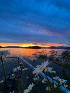 Dream House -Water Lily - Horseshoe Bay - 5