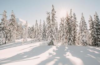 Posers Bergwelt B&B - 6