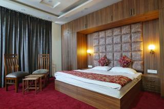Villa Homey Inn , Srinagar -3 Kms from Dal Lake & City Centre Raj Bagh - Haidarpur - 7