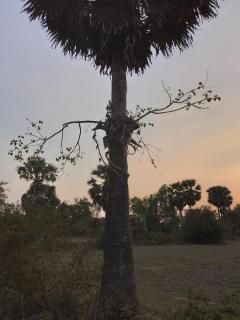 Siem Reap Countryside Farmstay - Phumĭ Puŏk Chăs - 2