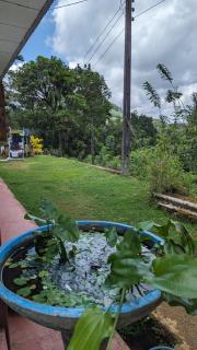 Madu's Mountain View Home - - 2