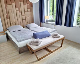 Gemütliche zentrale Wohnung in Zwickau - Zwickau - 0