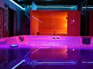 Hanu lui Gica Spa - 8