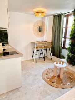 Studio cosy UBUD plein centre Thonon, débarcadère belvédère - Thonon-les-Bains - 8