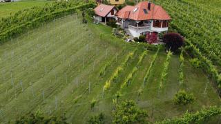 Villa Lotus - Štrigova - 7