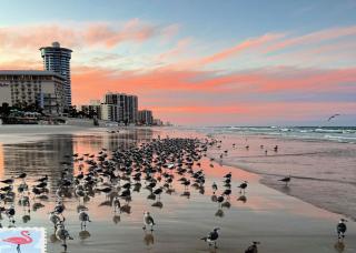 "SHERWIN" Coastal Vibes Oceanfront Condominium 301 - Daytona Beach - 8