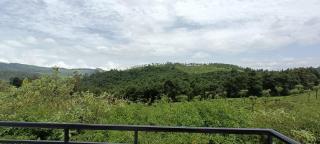 Lush Green View Cottage Tea Garden View - 1