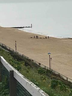Beach Retreat - Bournemouth - 5