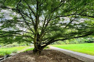 Neustadt Oase Am Park - 8