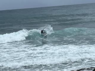 Les Alizés Ensoleillés pour un séjour exceptionnel au Moule - 8