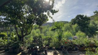 Kien's House - Cam Lap Cam Ranh - 5