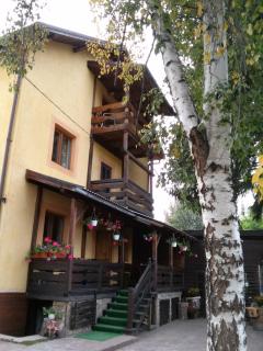 vila Dariana - Vatra Dornei - 9