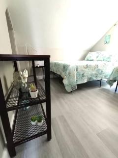 SEA LA VIE COZY BEACH HOME ON 500 BLOCK, Walk to beach only half mile away, SLEEPS 6 - 4