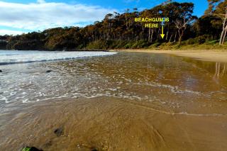 Beachgum - 0