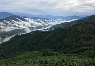 Surya Homestay - Rural Tea Garden Homestay - Darjeeling - 3