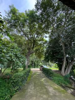 บ้านสวนแม่แพร-Baan Suan Mae Pair - 1