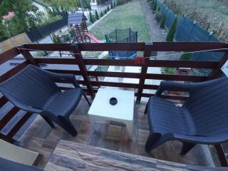 Casa Anghel Ocnele Mari - Cărpiniş - 8