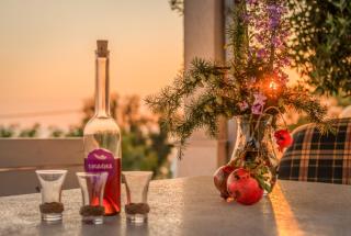 VILLA LEO - private pool - seaview - pets welcome - luxury villa on 1000 m2 - Jesenice - 5