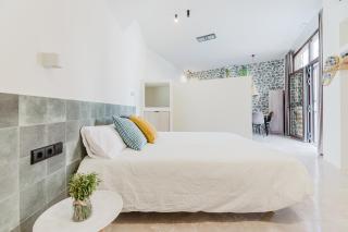 Loft Viñas - Valencia - 7